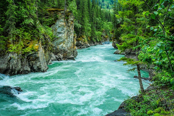 International Day of Action for Rivers - Let's act