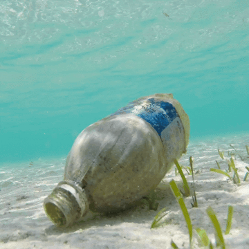 GIF of a plastic bottle at the bottom of the ocean