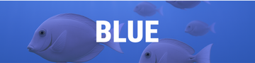 Banner for the Jason Hyde 'BLUE' collection