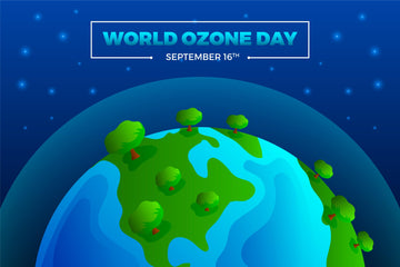 Healing the ozone layer: positive updates