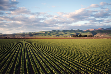 Keeping our produce and water fresh