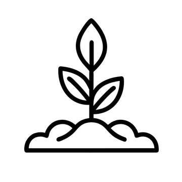 Line art icon of a small plant growing
