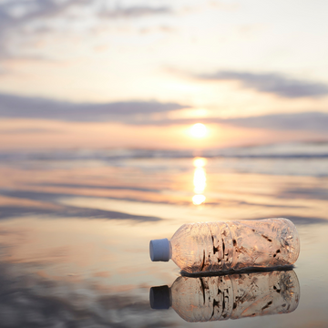 A plastic bottle on the shore of the beach