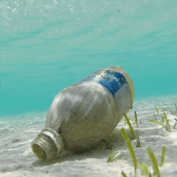 GIF of a plastic bottle at the bottom of the ocean
