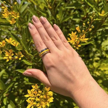 WEWA TUBE SPECTRA YELLOW CHIP RING