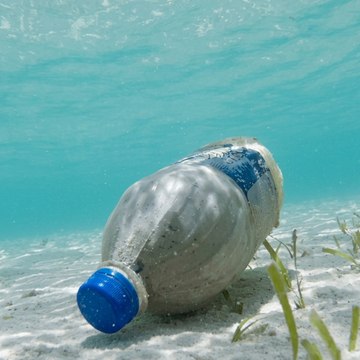 Single plastic bottle lying on the sandy ocean floor.