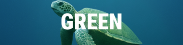 A banner for the Jason Hyde 'GREEN' collection featuring a sea turtle.