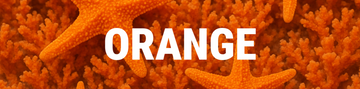 'ORANGE' collection banner with white text over a vibrant background of orange coral