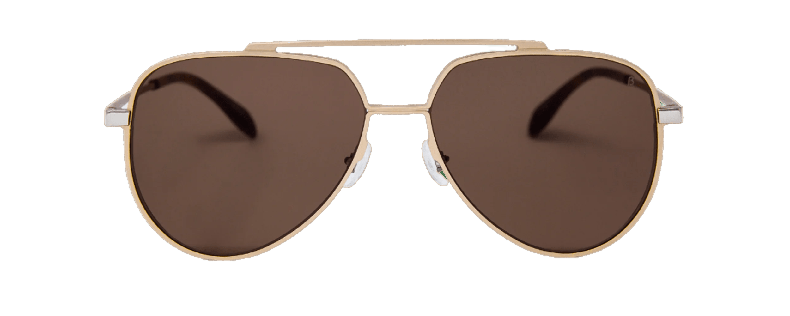 SUNGLASSES VIZCAYA GOLD/BRN